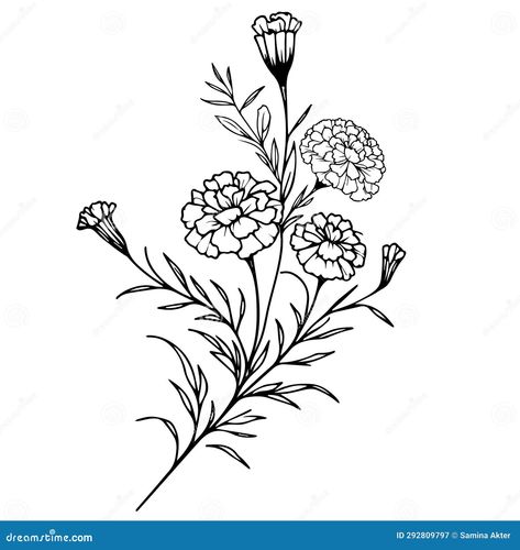 Black And Grey Marigold Tattoo, Marigold Tattoo Outline, Marigold Flower Sketch, October Birth Flower Drawing, Marigold Outline Tattoo, Marigold Flower Outline, Mexican Marigold Tattoo, Marigold Flower Tattoo Black And White, Marigold Line Drawing