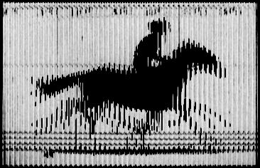 The Horse In Motion, Horse In Motion, Horses Running, Pony Express, Shadow Play, Optical Illusion, Tattoo Idea, The Horse, Optical Illusions