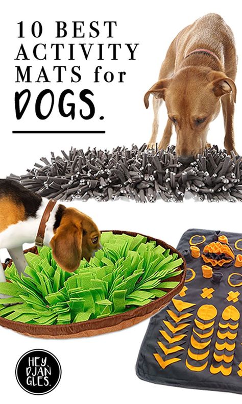 10 Best Boredom Busting Activity Mats for Dogs - heydjangles.com - dog boredom busters, snuffle mats, canine enrichment toys #doglover #dogtoys Dog Boredom Buster, Dog Boredom, Dog Toys Indestructable, Diy Dog Toys, Best Dog Toys, Dog Enrichment, Dog Games, Activity Mat, Dog Activities