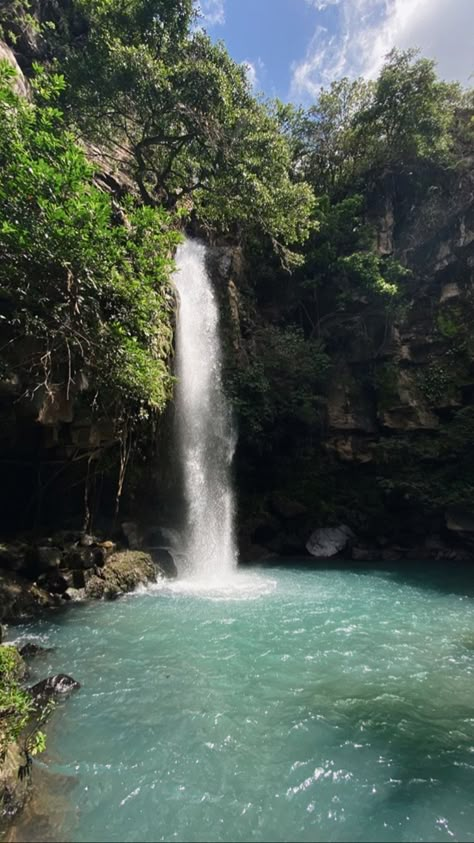 Deserted Island Aesthetic, Tropical Water Aesthetic, Pretty Waterfall Aesthetic, Underwater Tropical Aesthetic, Nature Aesthetic Waterfall, Green Widget, Hawaii Lifestyle, Mother Gaia, Tropical Waterfall Aesthetic