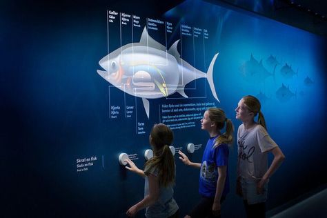 Aquarium Architecture, معرض فني, Interactive Installations, Gazebo Plans, The Blue Planet, Museum Exhibition Design, Interactive Museum, Interactive Exhibition, Nature Museum