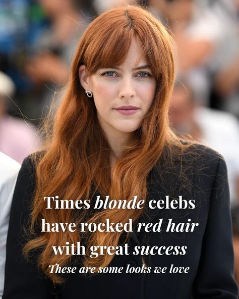 Blondes really can have fun as redheads, so much so that stars like Nicole Kidman have made auburn tresses their signature look. It's the perfect colour for those looking to transform their hair this autumn. Looking for inspiration before you take the leap? Head to the link to see the 32 times blonde celebs have effortlessly showcased red hair, from softer shades of copper to vibrant scarlets. Blake Lively Red Hair, Blonde Celebs, Blonde To Red Hair Before And After, Red Hair Celebrities, Dyed Red Hair, Budget Beauty, Long Lasting Perfume, Classic Hairstyles, Copper Hair