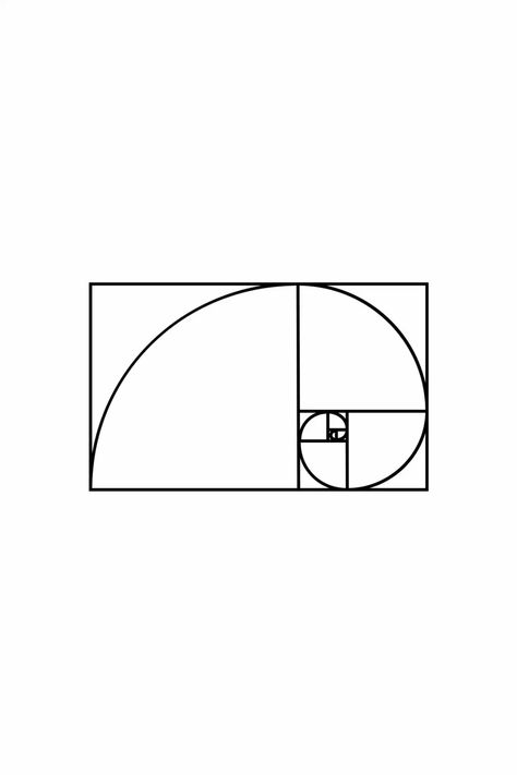 Un fenómeno matemático fascinante que aparece en la naturaleza, desde las conchas hasta las galaxias. Este patrón de proporción áurea inspira tanto a científicos como a artistas, convirtiéndose en un símbolo de perfección y equilibrio.    #aurea #diseño #fibonacci #geometria #icon #logo #matematicas #tattoo #universal #vector Fibonacci Logo, Golden Ratio Tattoo, Leonardo Fibonacci, Fibonacci Art, Fibonacci Number, Fibonacci Tattoo, Fibonacci Spiral, Laser Ideas, Golden Ratio