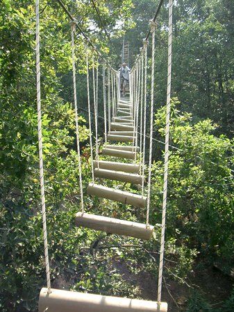 Obstacle Course Ideas, Backyard Obstacle Course, Angers France, High Ropes Course, Course Ideas, Gym Games, Ropes Course, Backyard Playground, Play Spaces