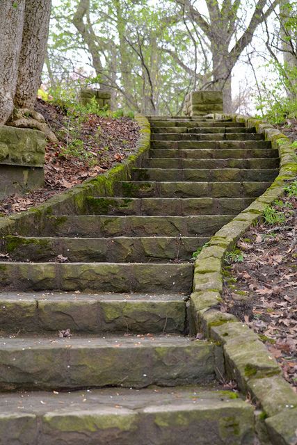 Switchback steps Steep Backyard, Castle Exterior, Stairs To Heaven, Landscape Stairs, Staircase Outdoor, Stone Steps, Stone Stairs, Outdoor Steps, Garden Steps