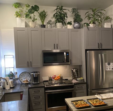 On Top Of Kitchen Cabinets Decor, Greenery Above Kitchen Cabinets, Plants Above Kitchen Cabinets, Storage Above Kitchen Cabinets, Decor Above Kitchen Cabinets, Kitchen Cabinets Modern, Decor Above Cabinets, Top Of Kitchen Cabinets, Decorating Above Kitchen Cabinets