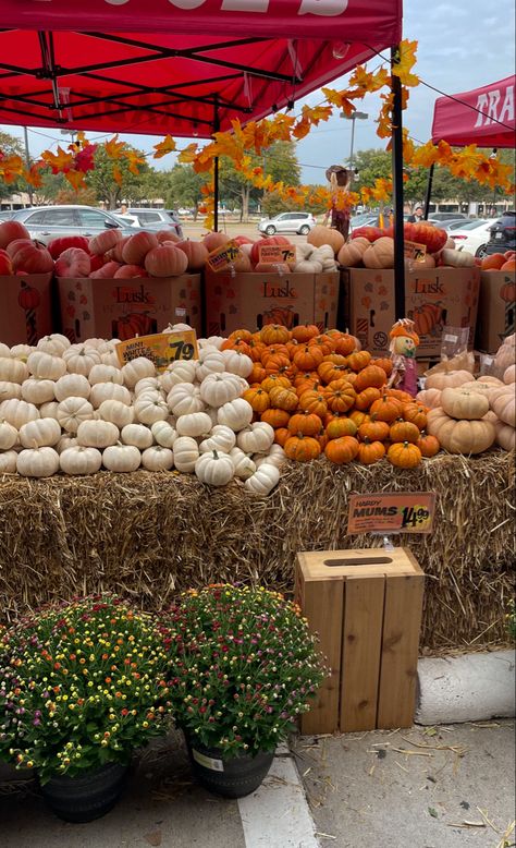 Thanks Giving Aesthetic, Thanksgiving Parade Aesthetic, Autumn Market Aesthetic, Giving Aesthetic, Autumn Grocery Aesthetic, Big City Fall Aesthetic, Macy’s Thanksgiving Day Parade Aesthetic, November Aesthetic, Fall November