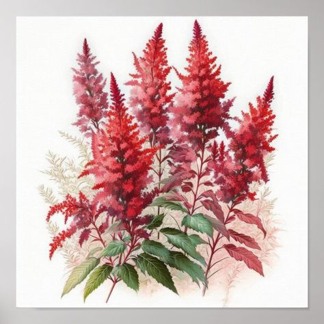 Red Astilbe Flower Art Print Poster Red Astilbe, Astilbe Flower, Flower Art Print, Floral Collection, Flower Prints Art, Art Print Poster, Diy Business, Print Poster, Hat Crafts