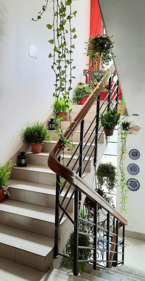 Indian Staircase Decor, Stairs Plants Indoor Stairways, Staircase Plants Indoor, Stairs Wall Decor Ideas, Colorful Room Decor, Indian Bedroom Decor, Indian Room Decor, نباتات منزلية, India Home Decor