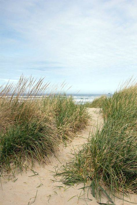 Patio Mural, Grass Painting, Beach Grass, Grasses Landscaping, Beach Watercolor, Sea Painting, Coastal Landscape, Beach Living, Beach Painting