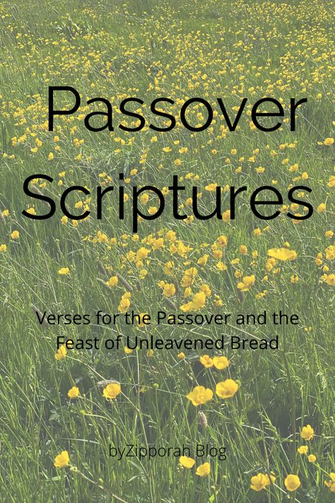 Passover Bible Verse, When Is Passover 2024, Passover Quotes Scriptures, Passover Quotes, Passover Sedar, Happy Passover Images, Passover Art, Passover Decor, Passover Christian