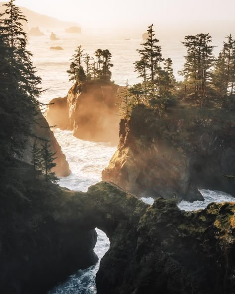 Reddit - EarthPorn - Sunrise along the Oregon Coast. Brookings, OR [OC] [2503 X 3129] IG: @kyle.fredrickson Oregon Coastline, Visit Oregon, Oregon Life, Oregon Road Trip, Oregon Travel, Oregon Coast, Landscape Photographers, Pacific Northwest, Beautiful Landscapes