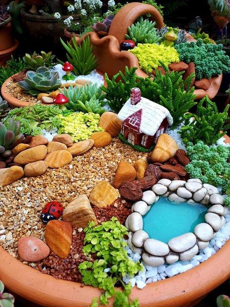 Fairy Garden Pots, Indoor Fairy Gardens, Fairy Garden Plants, Fairy Garden Furniture, Succulent Garden Design, Succulent Gardens, Fairy Garden Crafts, Fairy Garden Designs, Succulent Garden Diy