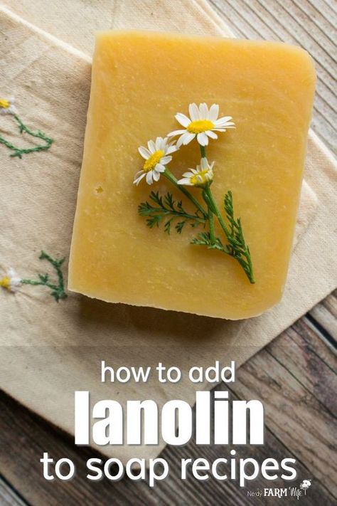 How to add lanolin to soap recipes - Learn how to adjust and add lanolin to soap recipes, plus guidelines for using it. Honey Soap Recipe, Cold Process Soap Recipes, Fancy Soap, Recipes Learn, Soap Making Recipes, Soap Recipe, Soap Making Supplies, Honey Soap, Homemade Soap Recipes