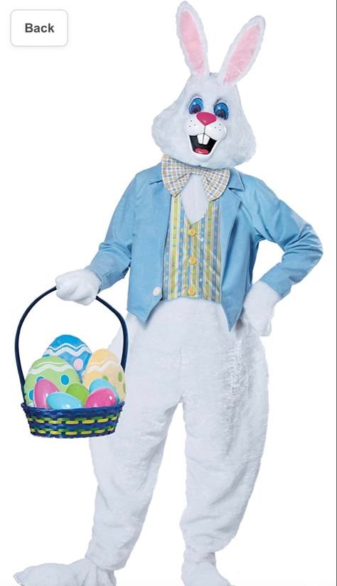 Easter bunny costume Easter Bunny Costume, Easter Costume, Adult Easter, Rabbit Costume, California Costumes, Bunny Head, Bunny Costume, Bunny Outfit, Costume Themes