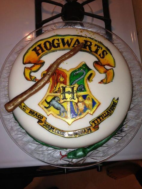 Harry Potter Hogwarts Cake! My Friends sister made this! So cool! Hogwarts Cake, Hogwarts Birthday, Chandelier Cake, Harry Potter Birthday Cake, 7 Cake, Single Tier Cake, Harry Potter Food, Cake Designs Images, Baking Substitutes