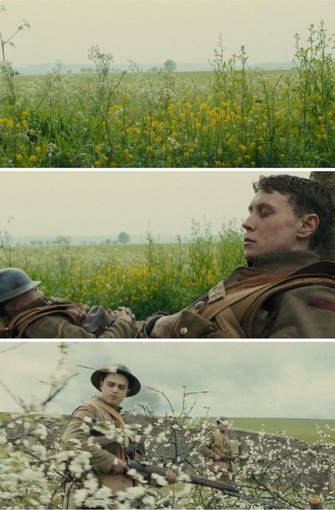 1917 Cinematography, 1917 Aesthetic, C Cassandra Comics, 1917 Movie, Roger Deakins, Beautiful Cinematography, Shot Film, Edge Of Tomorrow, Series Quotes