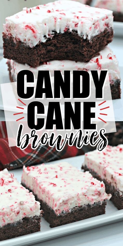 Candy Cane Brownies, Chewy Fudge Brownies, Chewy Fudge, Easy Christmas Candy, Easy Christmas Dessert, Peppermint Dessert, Peppermint Recipes, Christmas Brownies, Cheesecake Brownie