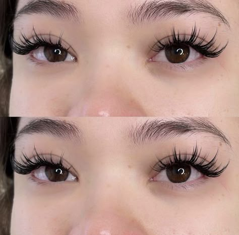 Bottom Lash Extensions, Fox Eye Lashes, Eyelashes Cat Eye, Natural Fake Eyelashes, Lashes Pack, Lashes Natural Look, Cat Eye Lashes, Lashes Tutorial, Lashes Fake Eyelashes