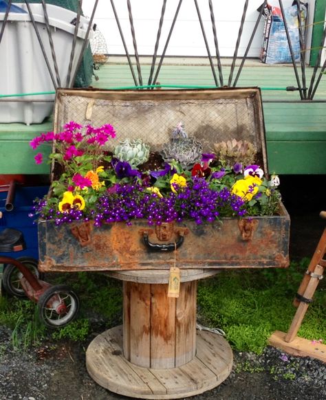 . Suitcase Garden, Unusual Planter, Vintage Trunk, Vintage Trunks, Miniature Gardens, Tool Boxes, Plants Garden, Fake Plants, Miniature Garden