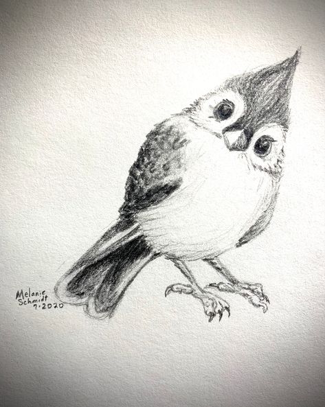 Bird Drawing Ideas, Sketch Vs Final, Birds Drawing, Drawing Ideas Creative, Bird Outline, Majestic Tree, Tree Tattoos, Pencil Drawings Of Animals, Bird Sketch