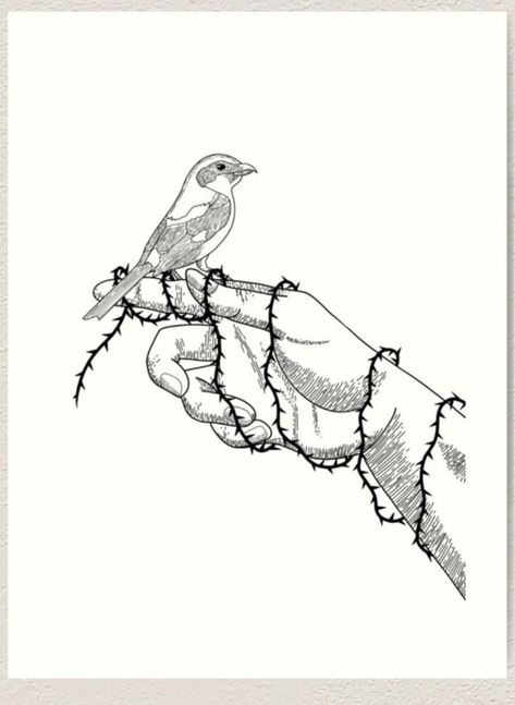 Tattoo idea of a shrike and thorns Shrike Bird Tattoo, Shrike Drawing, Shrike Tattoo Hozier, Shrike Aesthetic, Shrike Hozier, Shrike Tattoo, Hozier Inspired Tattoos, Hozier Art, Hozier Tattoo