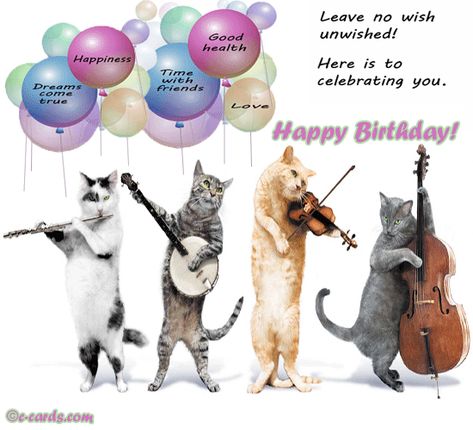 Happy Birthday Wishes With Cats, Happy Birthday Humorous, Cats Singing, Cat Birthday Wishes, Spiderman Gif, Cats Gif, Animated Happy Birthday Wishes, Birthday Songs Video, Birthday Wishes Gif