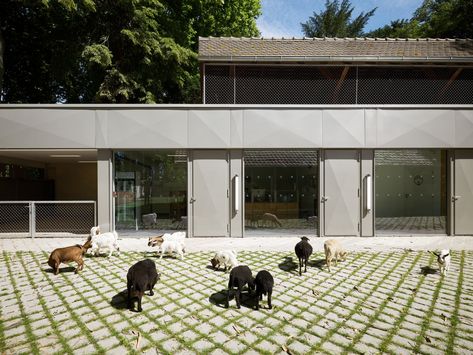 Strasbourg Zoo's Pedagogical Farm and Visitor Center / FREAKS Architecture Dog Spa, Shelter Design, Healing Garden, Metal Cladding, Spring Animals, Rabbit Cage, Zaha Hadid Architects, Cat Cafe, Glass Facades