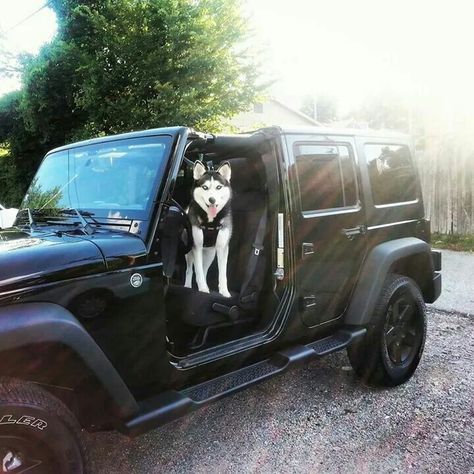 Jeep and a husky! Dogs Husky, Jeep Dogs, Ideas For Dogs, Dog Car Seat, Dream Cars Jeep, Jeep Lover, A Husky, Dog Car Seats, Jeep Girl