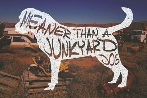 Meaner Than A Junkyard Dog! #Texas #Sayings #Forty29 www.forty29.com Meaner Than A Junkyard Dog, Junkyard Aesthetic, Texas Sayings, Junkyard Dog, Random Inspiration, Lady And The Tramp, Inspiration Board, Short Film, Album Covers