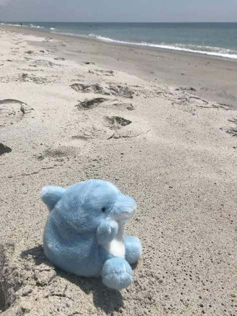 Cute Blue Things, Cute Blue Aesthetic, Blue Cutecore, Bright Blue Aesthetic, Blue Plushie, Blue Things, Blue Beach Aesthetic, Blue Stuffed Animal Aesthetic, Sea Creatures Plushies