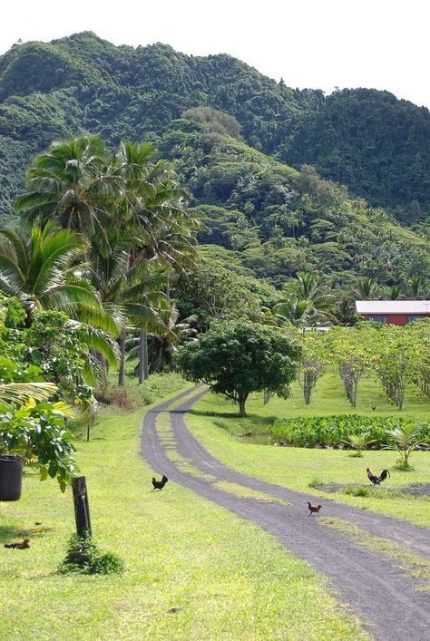 Rarotonga Cook Islands, Cook Island, South Pacific Islands, Side Road, Island Destinations, Pacific Islands, Travel Humor, Cook Islands, Island Travel