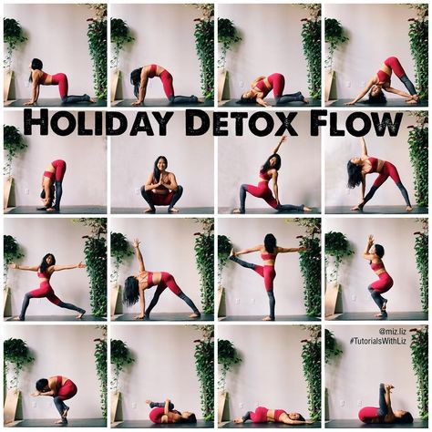 Liz Lowenstein (Liz Kong) on Instagram: “✨Holiday Detox Flow✨ . . . Merry Xmas IG fam! 🎁 Christmas is conveniently on a #TutorialTuesday so I wanted to give y’all a sequence to do…” Core Yoga, Christmas Yoga, Yoga Christmas, Guided Meditation Scripts, Yoga Flow Sequence, Yoga Detox, Yoga Information, Yoga Flows, Winter Yoga