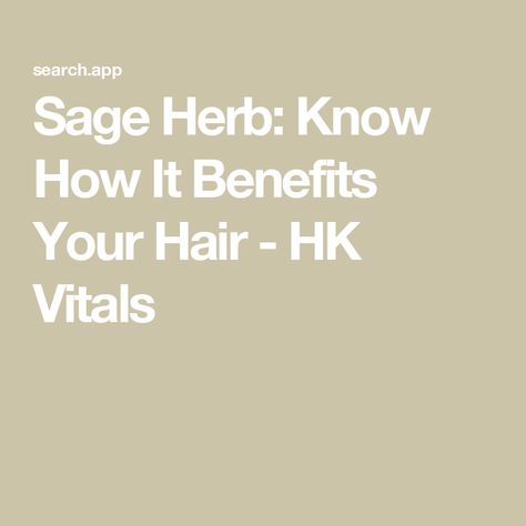 Sage Herb: Know How It Benefits Your Hair - HK Vitals Hk Vitals, Benefits Of Sage, Sage Benefits, Sage Herb, Sage Tea, Strengthen Hair Roots, Strengthen Hair Follicles, Hair Issues, Dyed Natural Hair