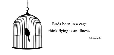 Birds born in a cage think flying is an illness. Bird In A Cage Quote, Thinking Minds, Bird In A Cage, You Broke My Heart, Some Good Quotes, African Art Paintings, Writer Quotes, Love Hurts, Good Heart