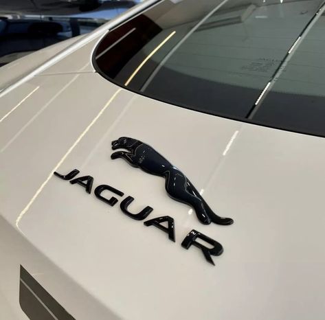 Jaguar Car Aesthetic, Good Looking Cars, Buick Cars, Lexus Lfa, Luxury Car Brands, Exterior Car Accessories, Jaguar Xe, Reliable Cars, Jaguar F Type