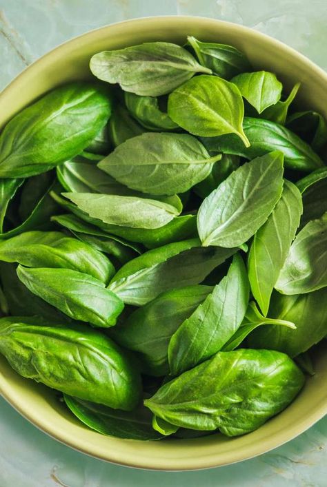 Learn how to store basil so it won't rot too quickly. Here, you'll discover how to store fresh basil, how to store chopped basil, and how to freeze basil so you can use it later. #kitchenhacks #basil #kitchenstorage Store Fresh Basil, How To Freeze Basil, Storing Fresh Basil, How To Store Ginger, How To Store Avocado, Storing Basil, Basil Plant, Airtight Food Storage, Airtight Food Storage Containers