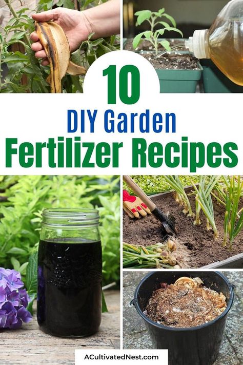 10 Best Homemade Plant Fertilizers- If you want your garden's plants to grow faster and bigger, then you need to try some of these 10 homemade plant fertilizers! These are great for both vegetable and… Organic Fertilizer For Vegetables, Vegetable Garden Fertilizer, Home Made Fertilizer, Homemade Plant Fertilizer, Quotes Gardening, Houseplant Fertilizer, Homemade Plant Food, Natural Plant Fertilizer, Gardening Drawing