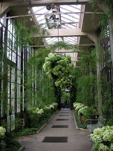 Conservatory Greenhouse, Longwood Gardens, Garden Greenhouse, Plants And Flowers, Shade Garden, Winter Garden, Dream Garden, Garden Room, Walkway