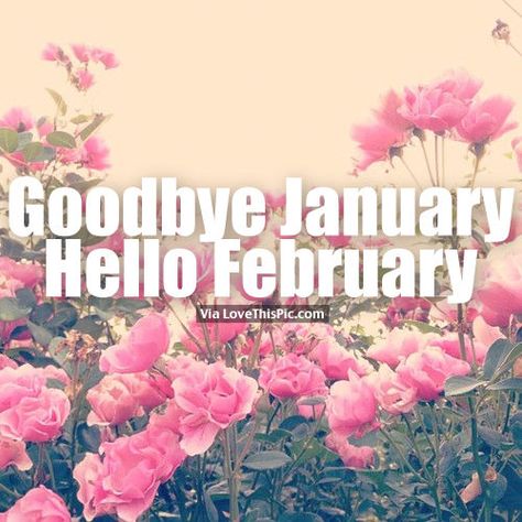 Goodbye January, Hello February Floral Quote Pictures, Photos, and Images for Facebook, Tumblr, Pinterest, and Twitter Goodbye January Hello February, Goodbye January, January Hello, Hello February, Floral Quotes, Quote Pictures, Tumblr Image, Daylight Savings Time, Facebook Image