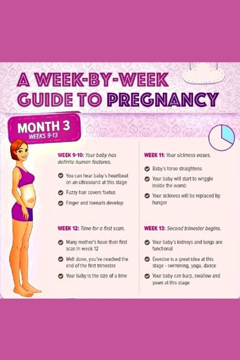 Pregnant Exercise, Pregnancy Chart, Tips For Pregnant Women, Tips For Pregnancy, Someone Quotes, Baby Weeks, Missing Someone Quotes, Pregnancy Timeline, Writing Reference