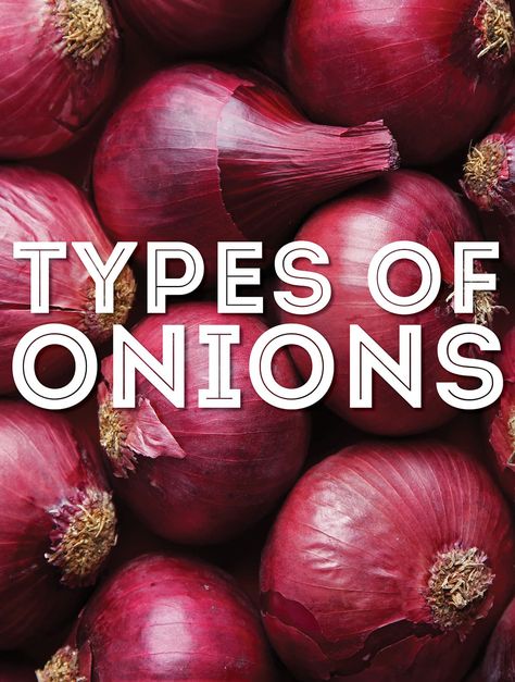 Vegetarian Asian, Cipollini Onions, Types Of Onions, Onion Dip Recipe, Collection Board, Savoury Biscuits, Pearl Onions, Food Scientist, Vidalia Onions