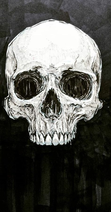 Scratchboard Drawings, Skull Anatomy, Skull Reference, Scary Skull, Skull Sleeve Tattoos, Skull Art Drawing, Skull Pictures, Monochrome Art, Skull Illustration