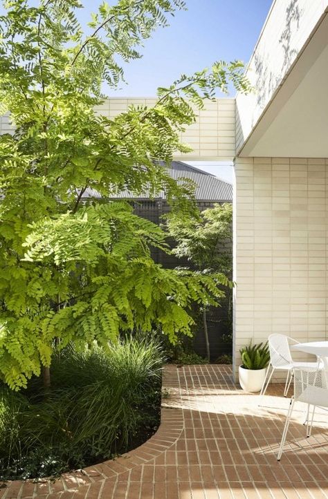 Garden Room House | Clare Cousins Architects Clare Cousins, Brick Floor, Mini Loft, Victorian Garden, Garden Architecture, Brickwork, Local Design, Exposed Brick, Outdoor Rooms