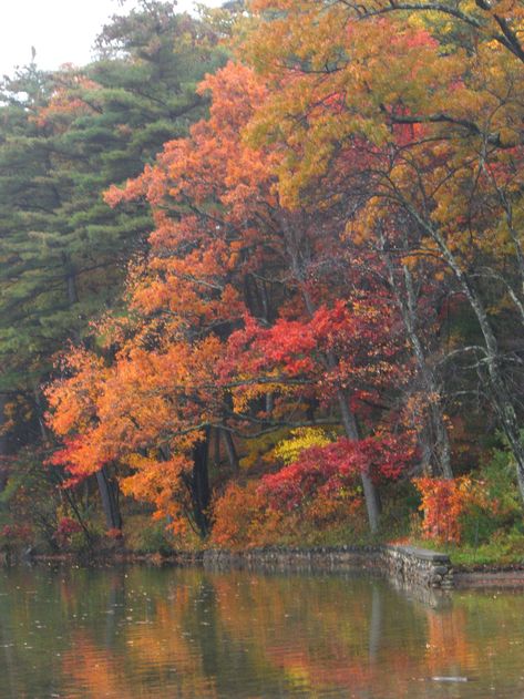 Walden Pond | knittergail | Flickr Autumn Massachusetts, Walden Pond, Fall Foliage, Planet Earth, Travel Bucket List, Old World, Massachusetts, Autumn Leaves, New England