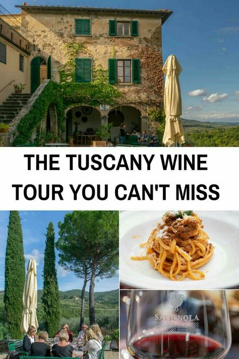 Tuscany Wine Tasting, Tuscany Wineries, Tuscany Wine Tour, Tuscany Vineyard, Tuscany Wine, Chianti Wine, Vineyard Tour, Greece Trip, Calabria Italy