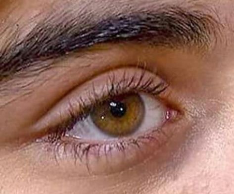 Amber Eyes Men, Hazel Eyes Men, Hazel Green Eyes Aesthetic, Eyes Aesthetic Quotes, Zayn Eyes, Emotion Eyes, Mens Eyes, Freckles Aesthetic, Green Eyes Aesthetic