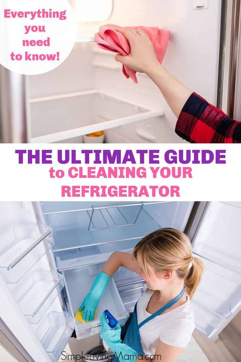 How To Clean Refrigerator, Fridge Cleaning Hacks, Remove Mold, Clean Refrigerator, Clean Fridge, Fridge Shelves, Best Cleaner, Easy Cleaning Hacks, Diy Cleaning Solution