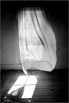 Der Wind selbst ist unsichtbar, wir sehen nur, was er mit uns und der Natur so alles anstellt. Francesca Woodman, Empty Room, Foto Art, White Picture, Black White Photos, Black N White, Bw Photo, The Shadow, Shades Of Grey