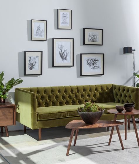 Olive green sofa with white walls & oak wood floors Olive Green Couch, Olive Green Couches, Chesterfield Bank, Sofa Santai, Sofa Inspiration, Green Couch, Jimbaran, Green Sofa, Furniture Sofa